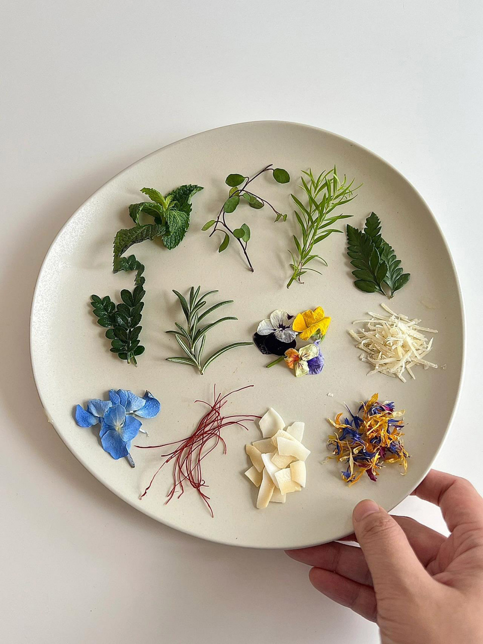 91share|西餐摆盘装饰花香草topping合集 - 91今天刚到了部分花草