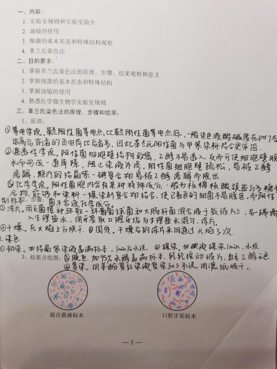 医学微生物学革兰染色实验报告