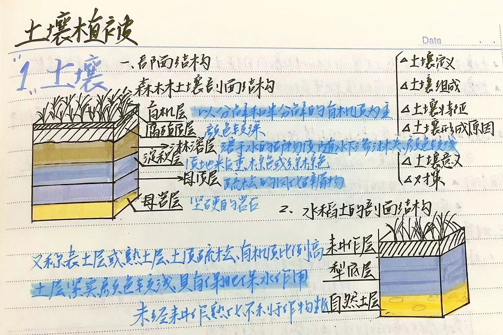 土壤垂直结构图片