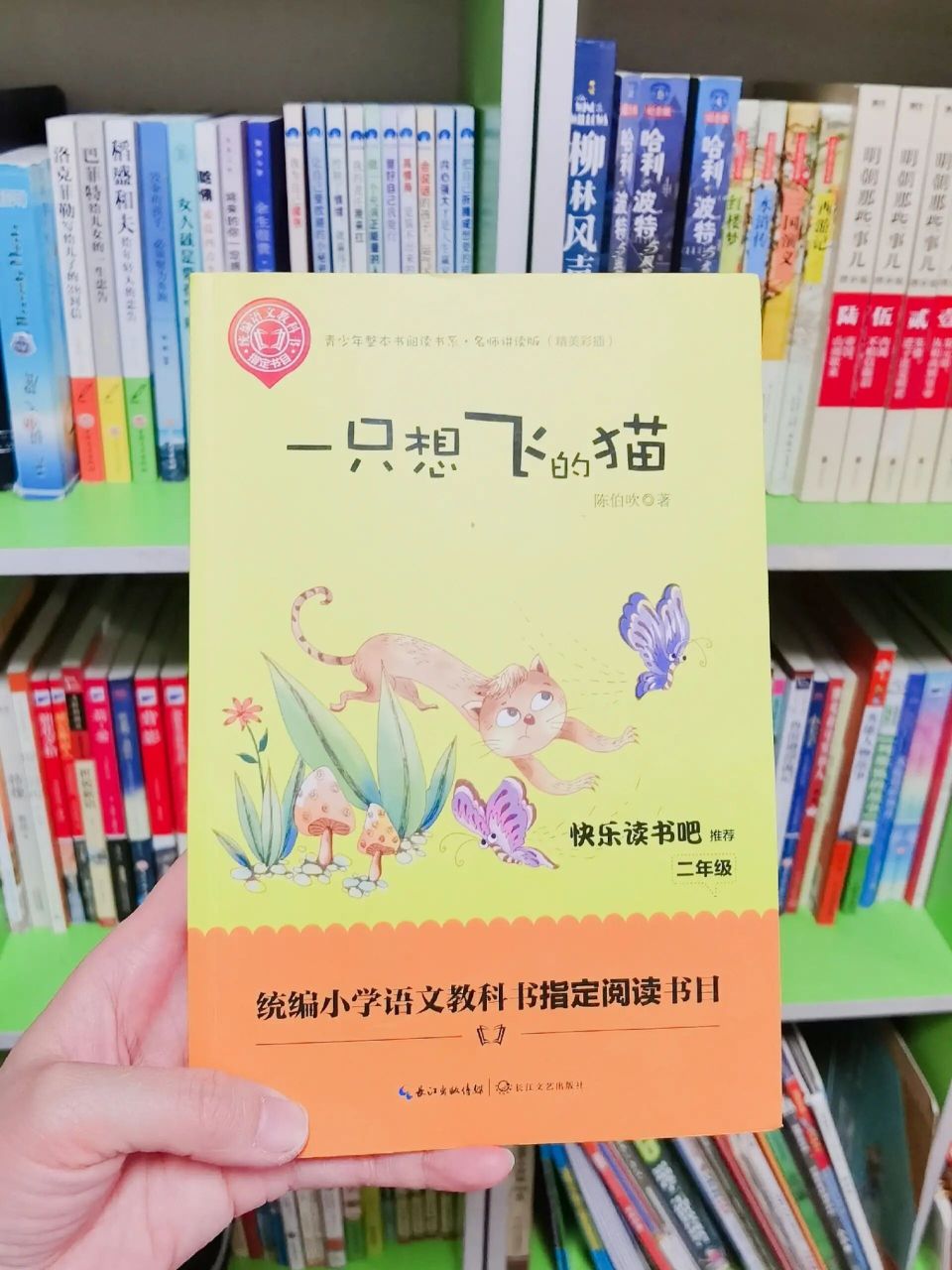 【88】二年级必读《一只想飞的猫》 166作者简介 	 陈伯吹的文字