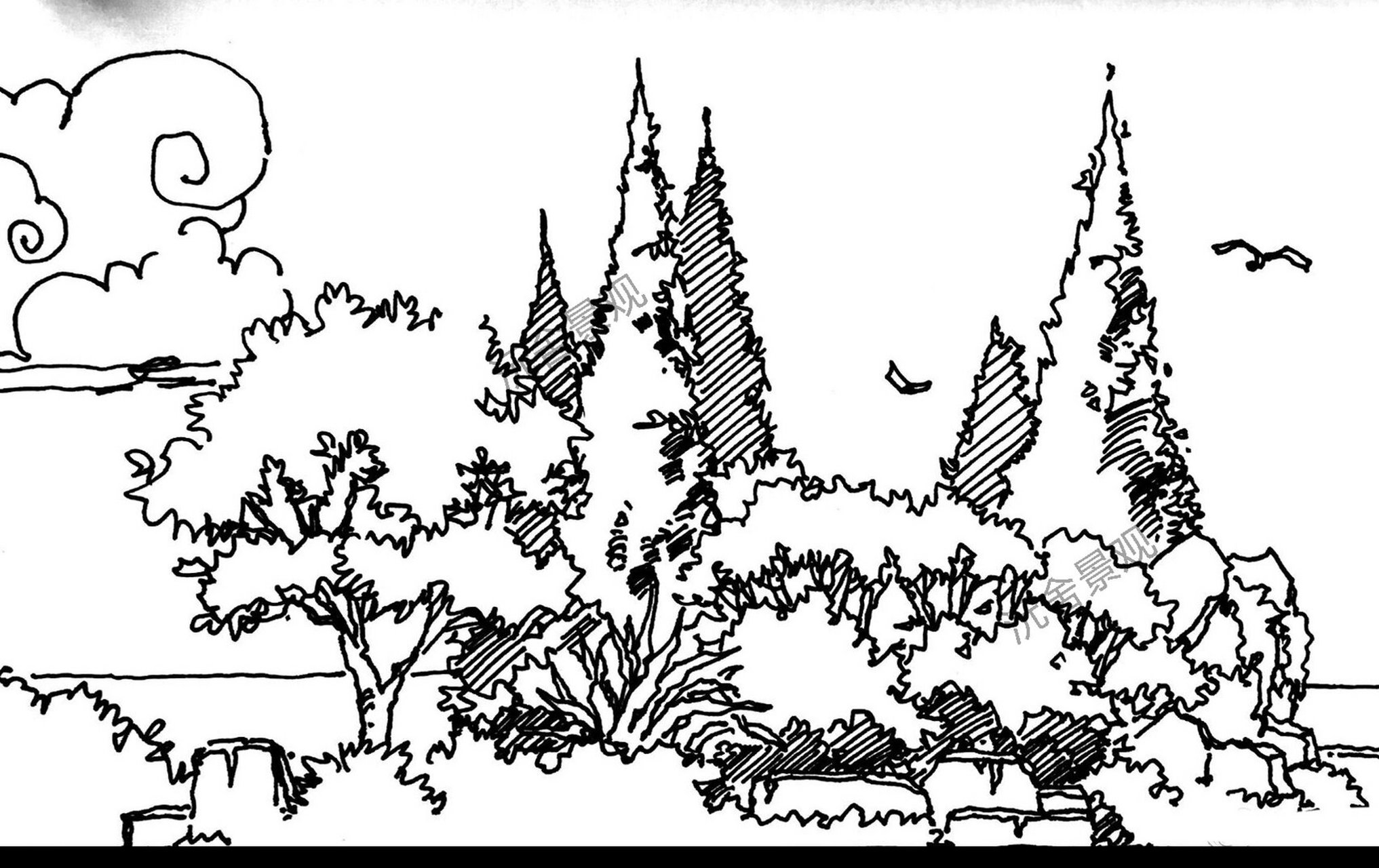 基础训练笔记—快题里树的画法