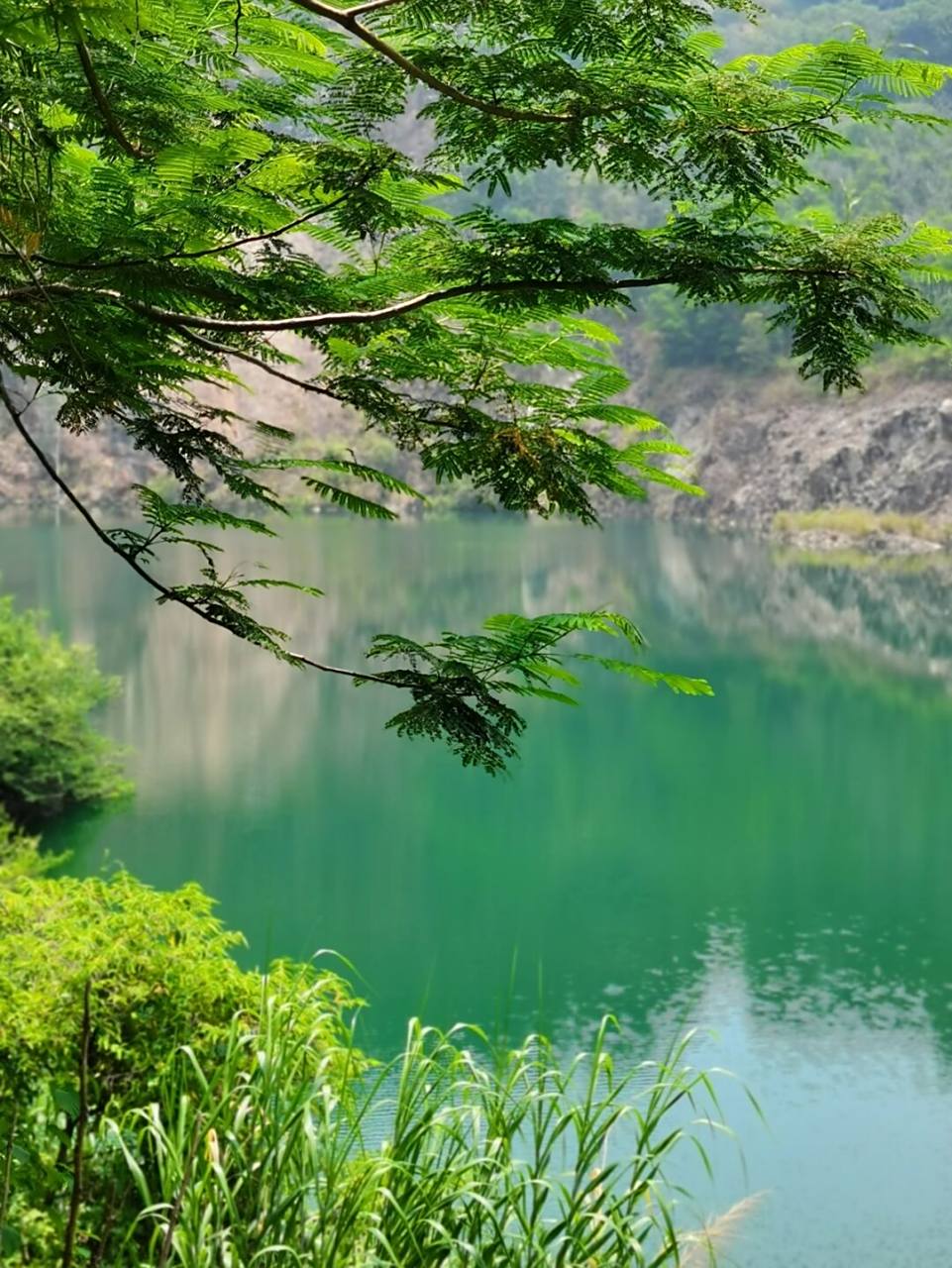 夏季不晒之深圳徒步登山(平峦山公园) (平峦山公园) 建在西乡街道桃源