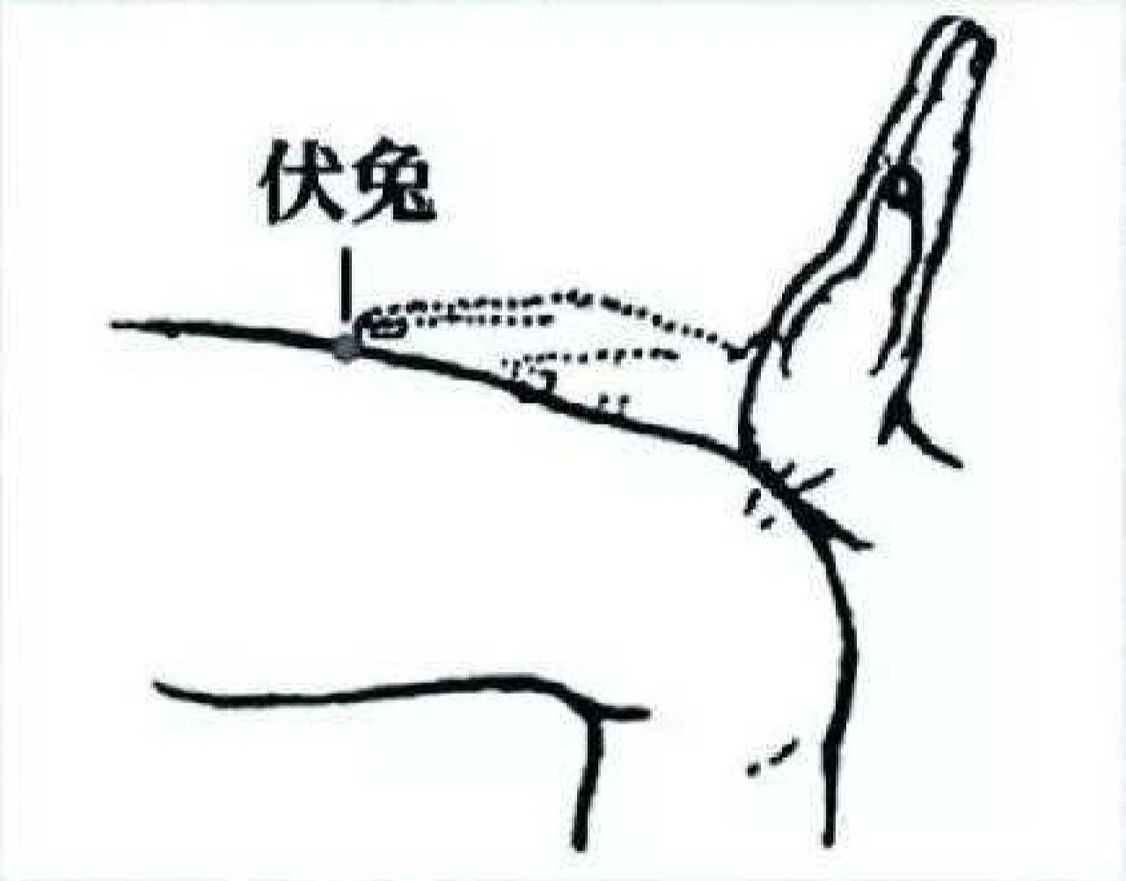 过度运动,膝关节腿痛,下肢酸麻就找伏兔穴 今天来讲讲伏兔穴,这个穴位