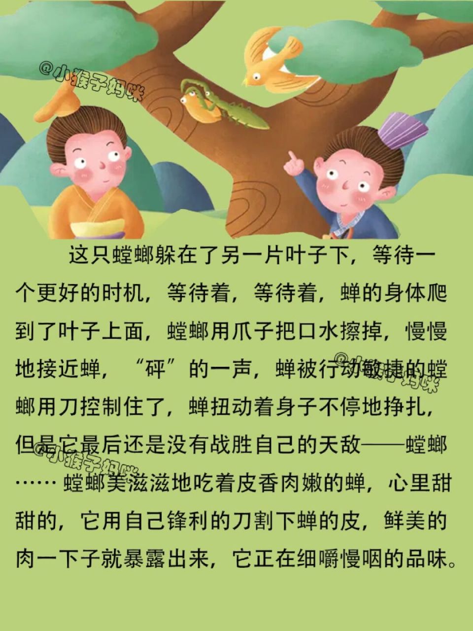 故事294:螳螂捕蝉 #绘本故事# #小故事# #胎教故事# #故事# #睡前故事