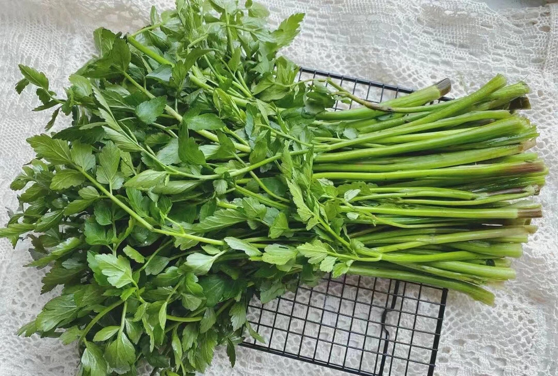 水芹菜又称野水芹,蜀芹菜 食材:水芹1斤,鸡蛋3个,食盐,味精,香葱,植物