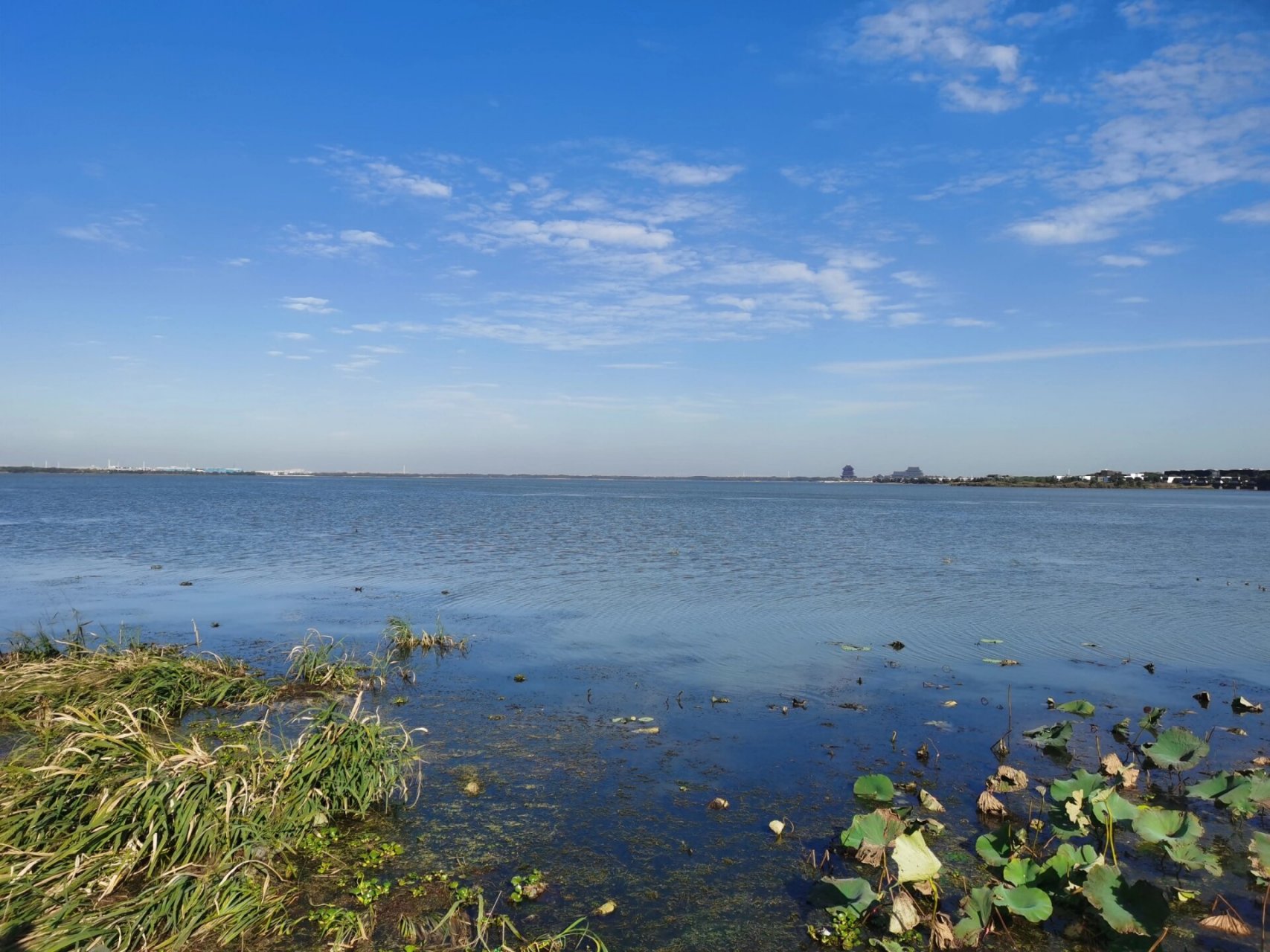 29 十月底的阳澄湖半岛.