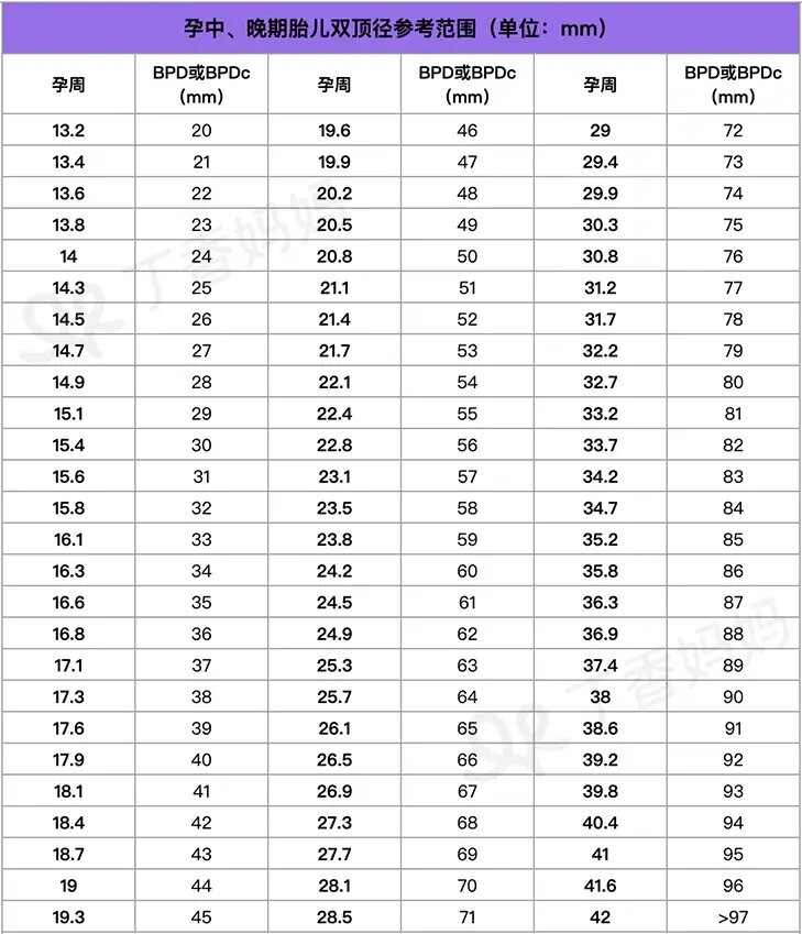 头臀径50图片