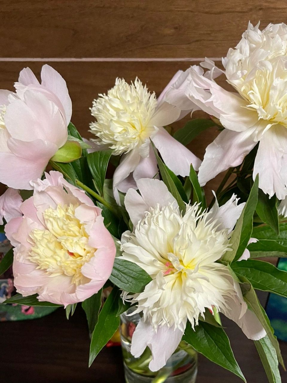 芍药的香味也太9315了 芍药的香味真的太可了,第一次get这么香甜