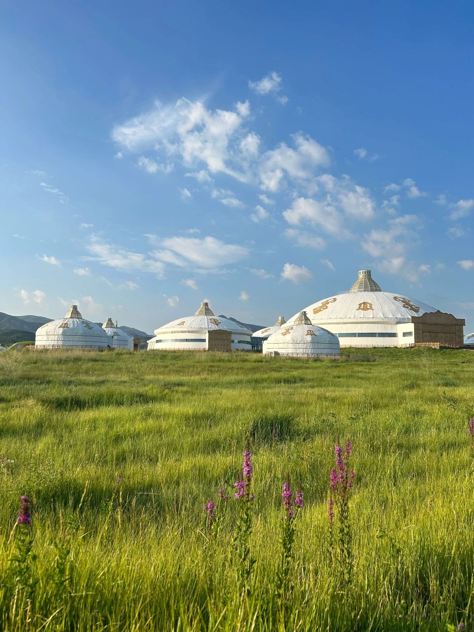 离呼市最近的草原|敕勒川草原 发现一片离呼市市区最近的草原,开车半