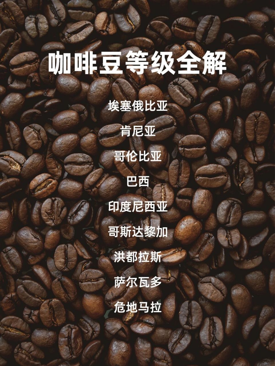 今天介绍一下咖啡豆品种等级标准,以后买豆子就看得懂了～ 咖啡豆没