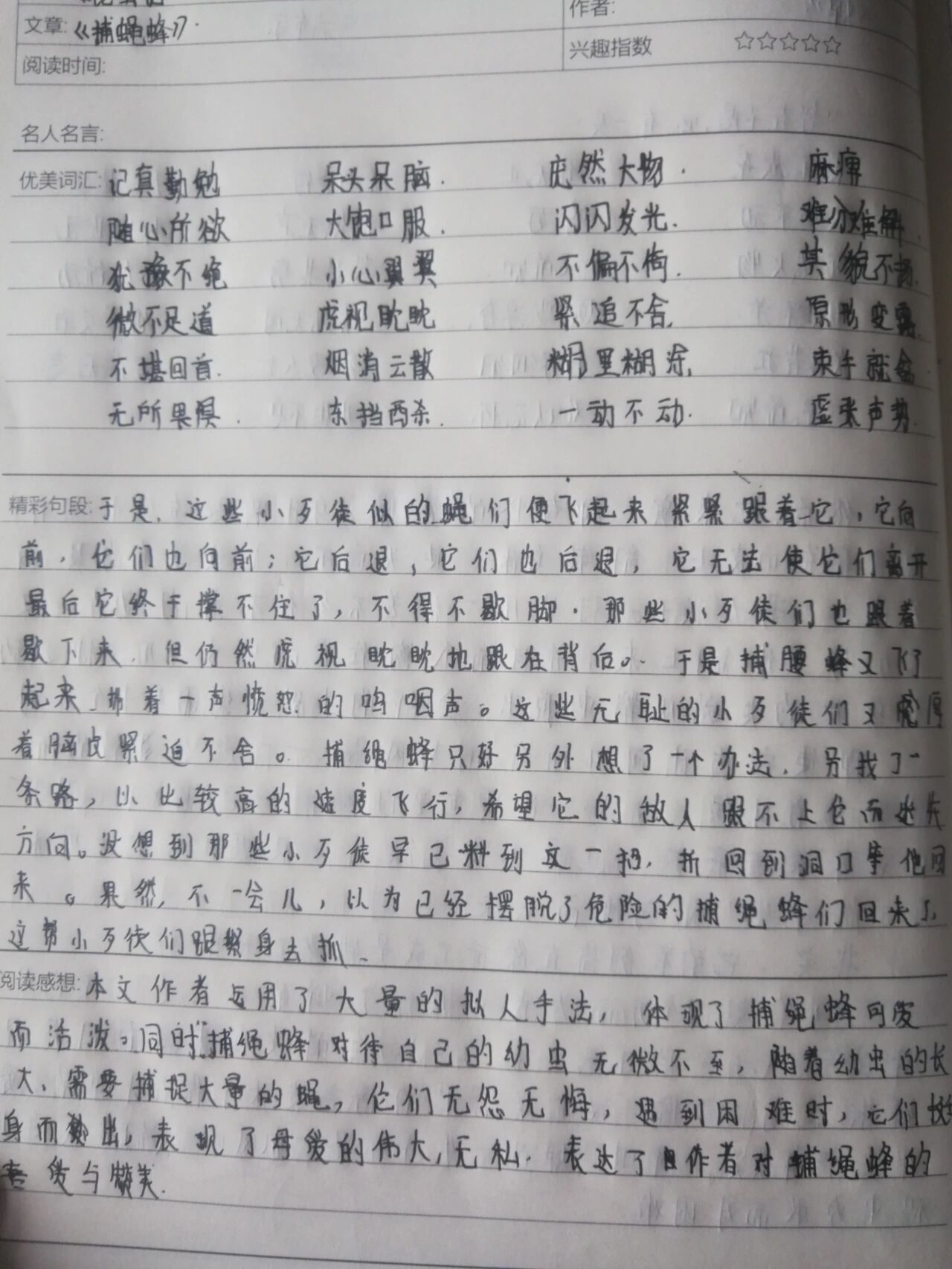 《昆虫记(捕蝇蜂)》读书笔记  《昆虫记》读书笔记
