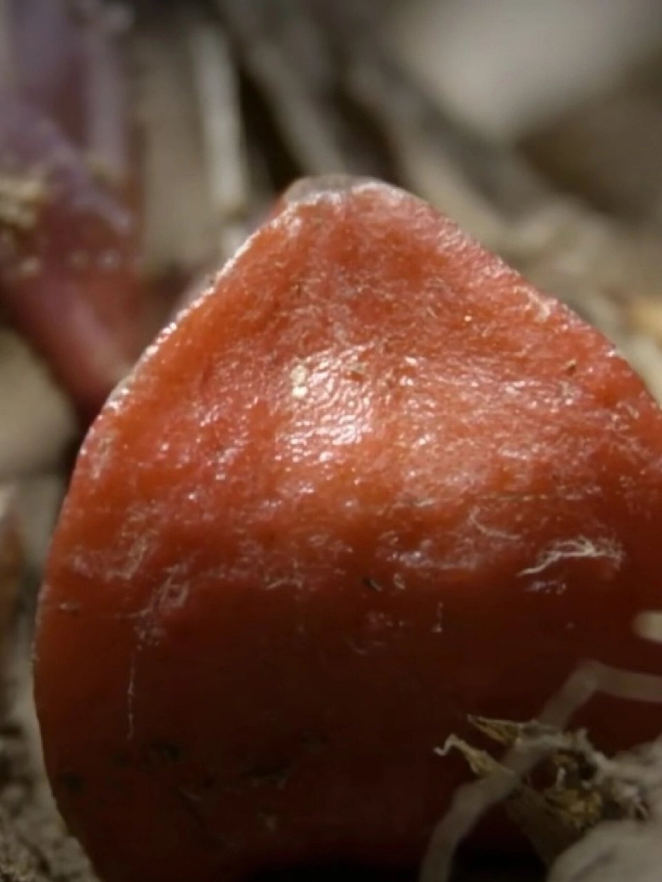 西非竹芋 它是世界上最甜的水果 也是最甜的自然物质… 它的含糖量是