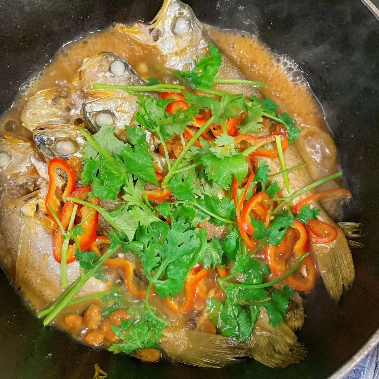 臣服于潮汕人民普宁豆酱焖鱼目前已经打败了清蒸鱼在我心目中的地位