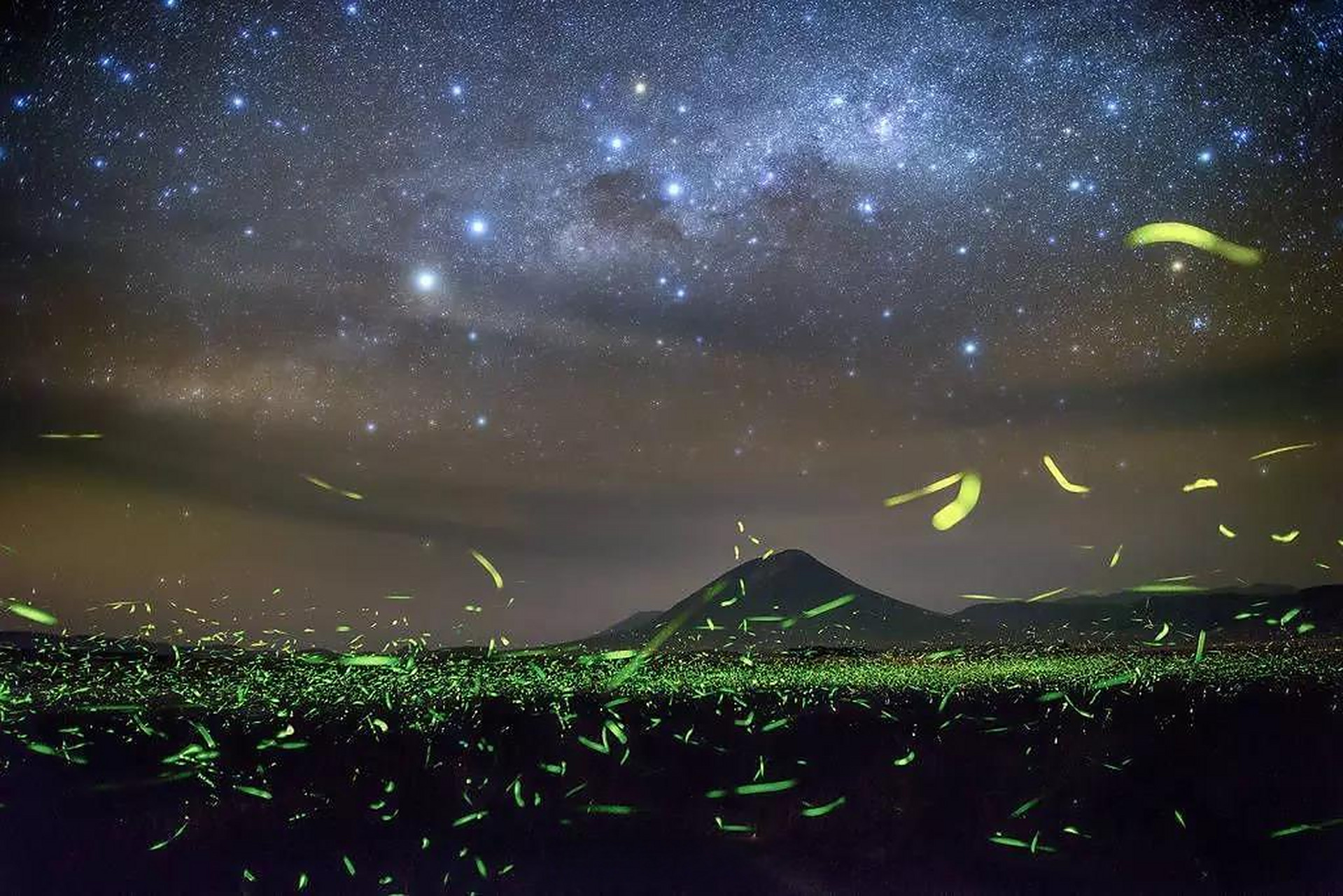 军号小夜灯#夏天的夜晚总有独特的美丽,小号手们快来晒晒最近拍的