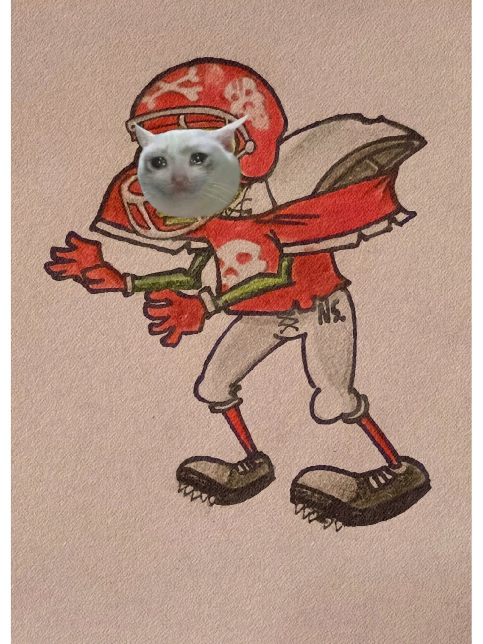 7815橄榄球僵尸 虽然脸画丑了,但我还是想发,呜呜#植物大战僵尸