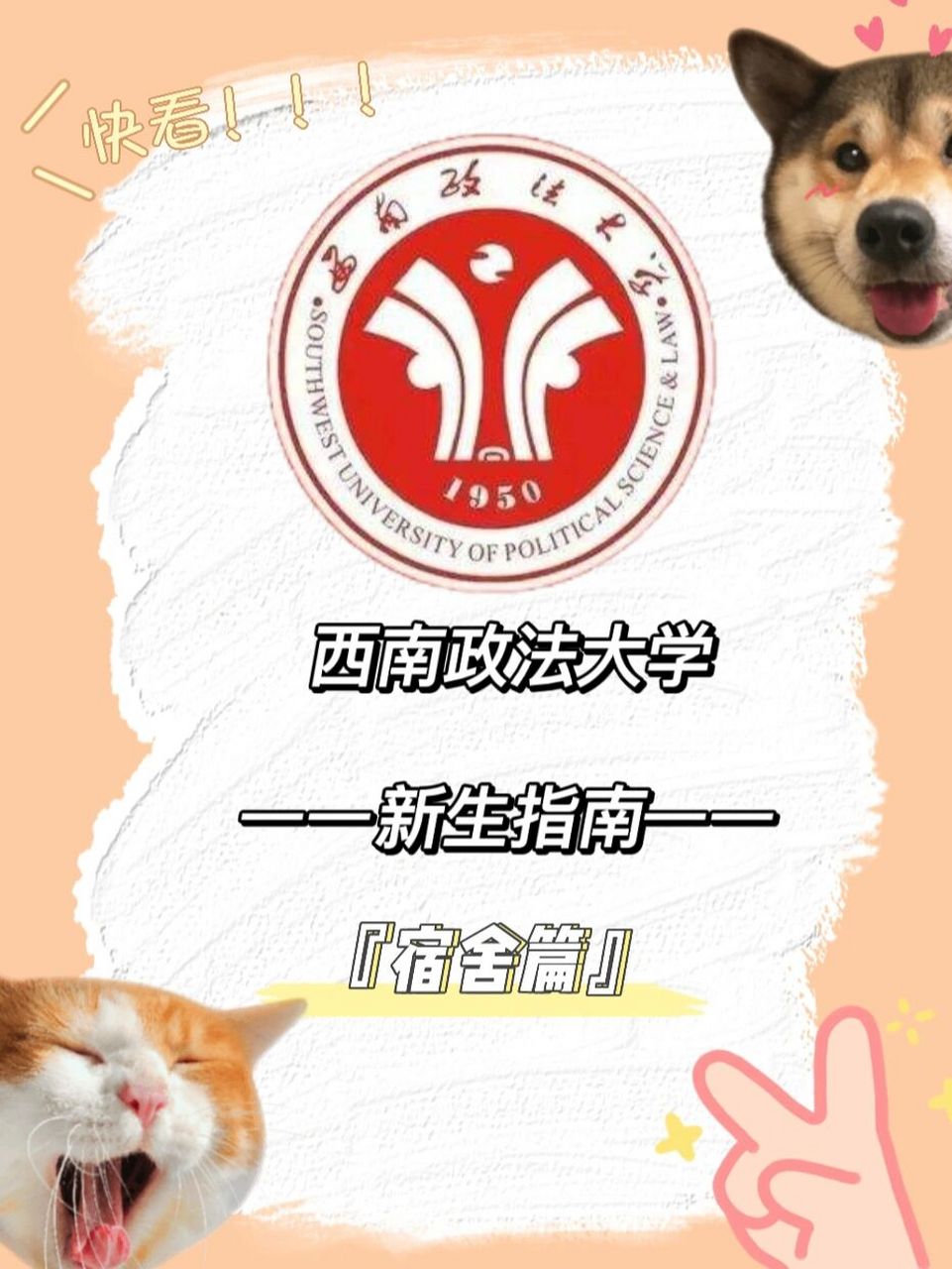 西南政法大学新生指南——宿舍篇 西南政法大学新生指南——宿舍篇