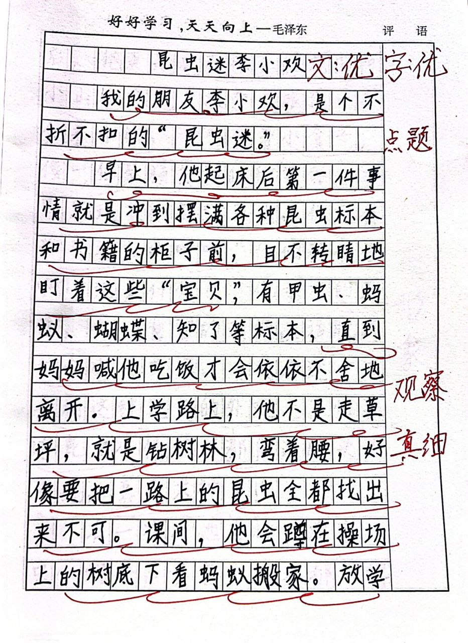 三年级下 作文 范文 昆虫迷 作者高梓皓 烟台南通路小学