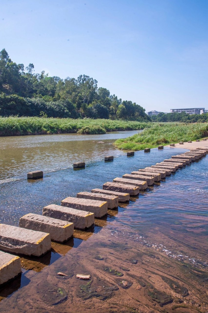 龙岗小众游玩地 深圳龙岗小众游玩点,龙岗湿地公园.