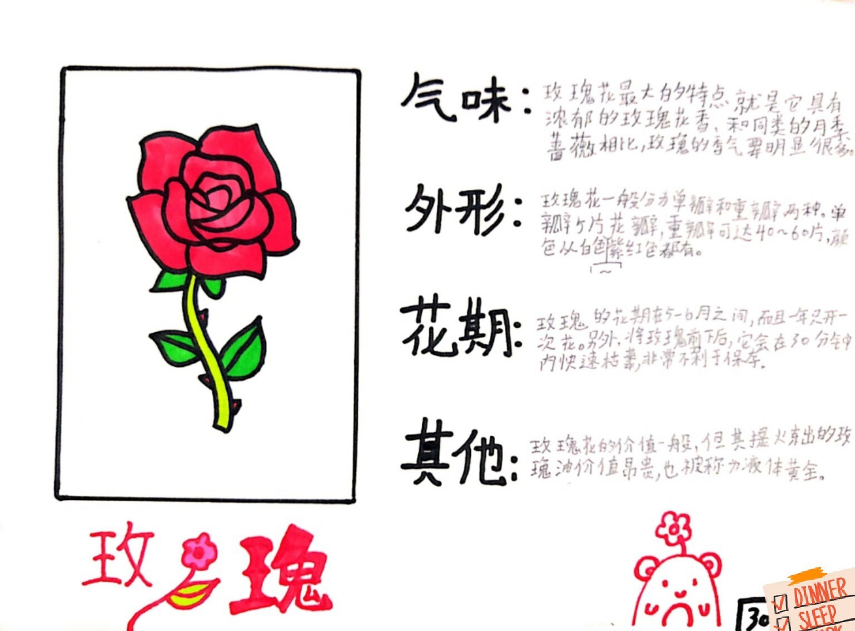 三年级学生制作植物记录卡(二) 另外一个班制作的植