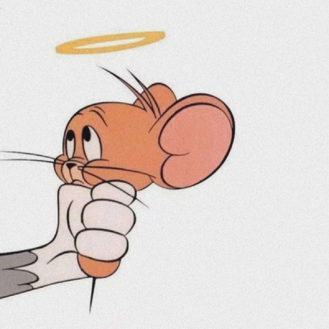 猫和老鼠情头🐱🐭