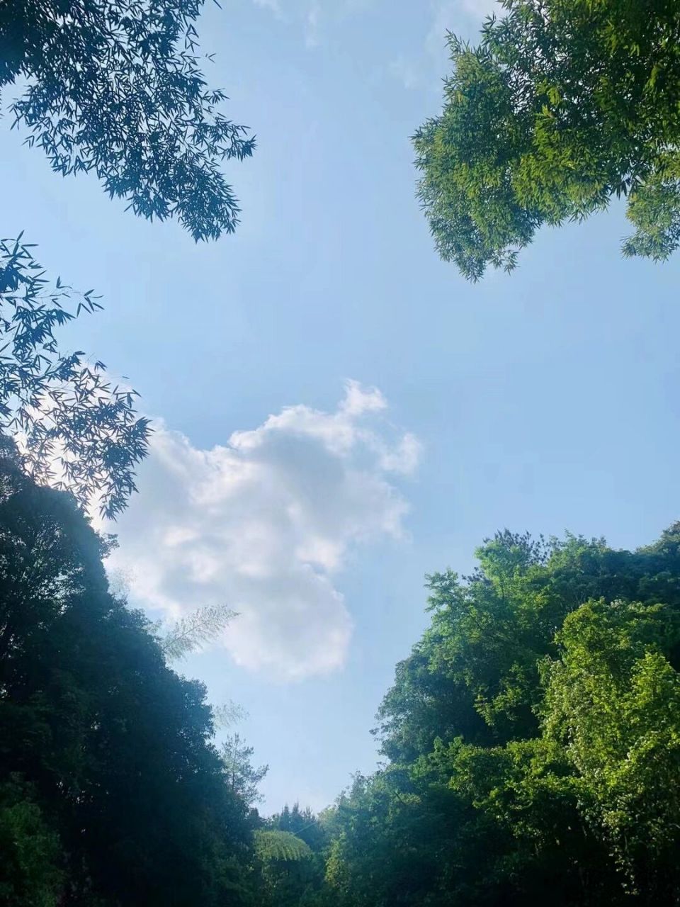 寻乌必去景点 三标 东江源瀑布   三标 东江源瀑布