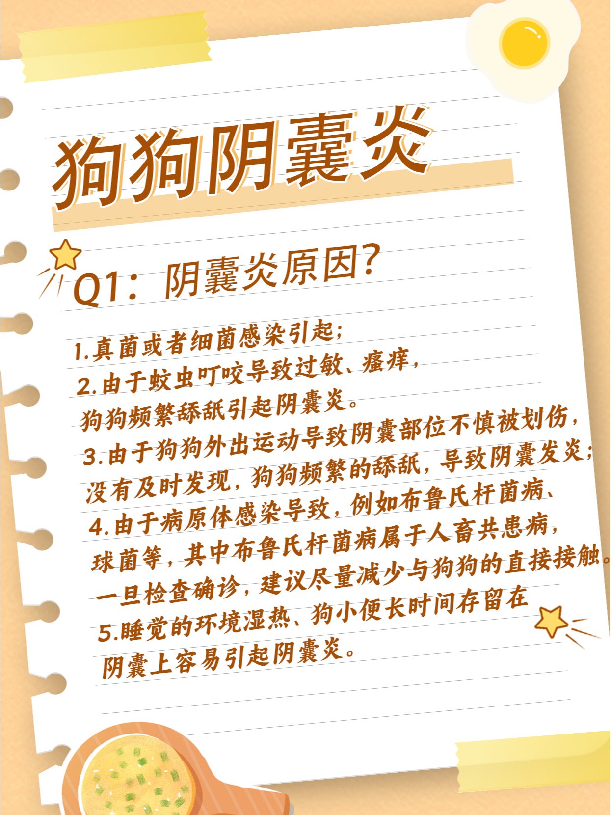 狗狗蛋蛋红肿?流脓?快来看这篇了!