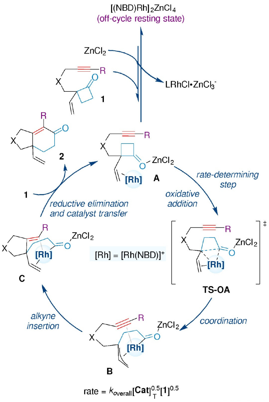 【北大余志祥课题组发展[4 2]反应并对反应机理进行研究】北京大学