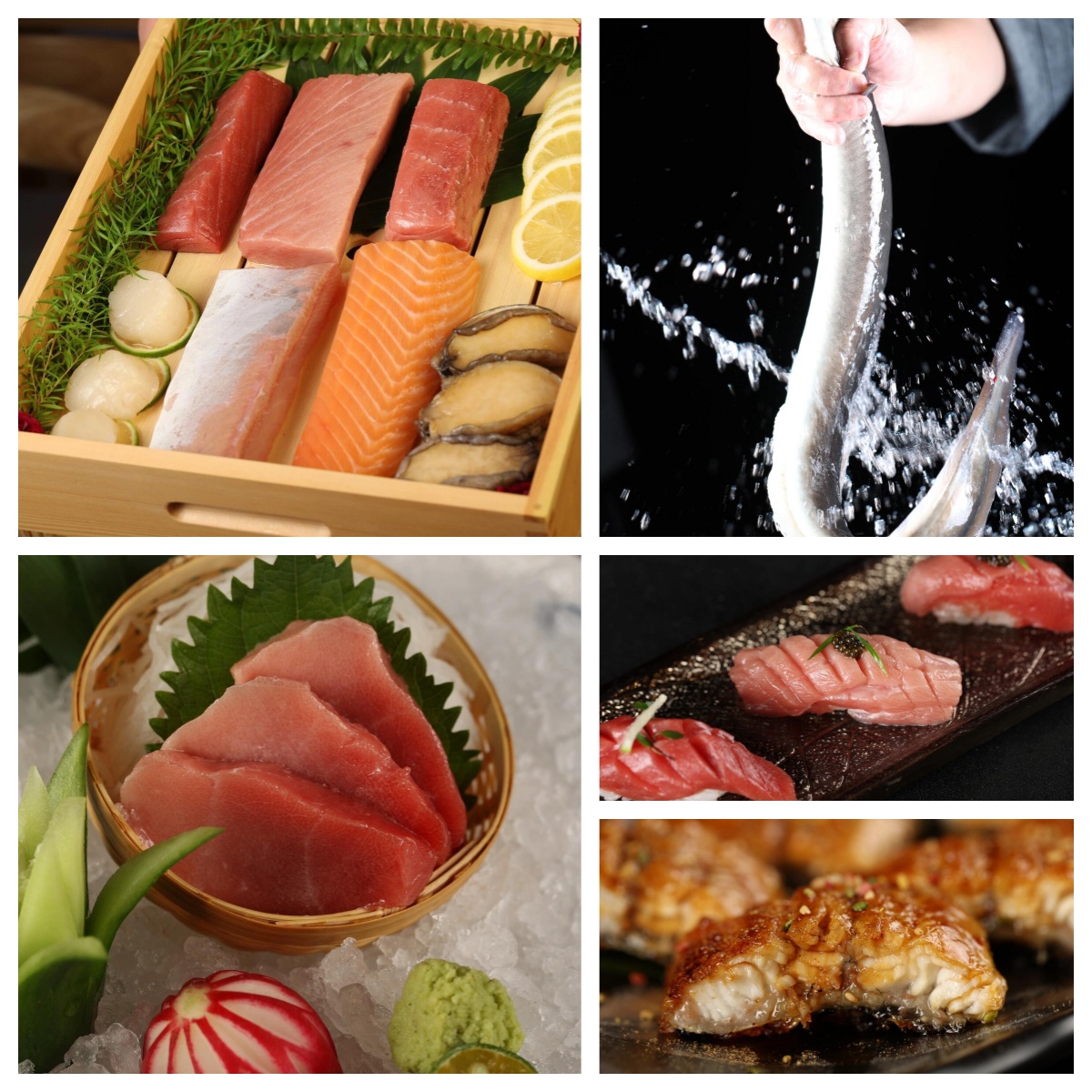 活杀的鳗鱼直接给我香迷糊了  蒲烧活鳗鱼丼  新鲜的鳗鱼现场科制