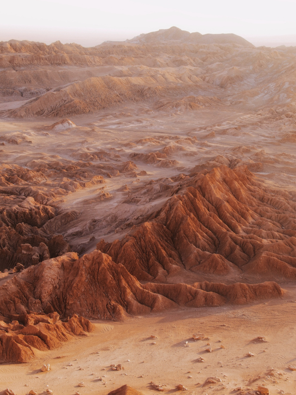 世界上最干旱的沙漠图片