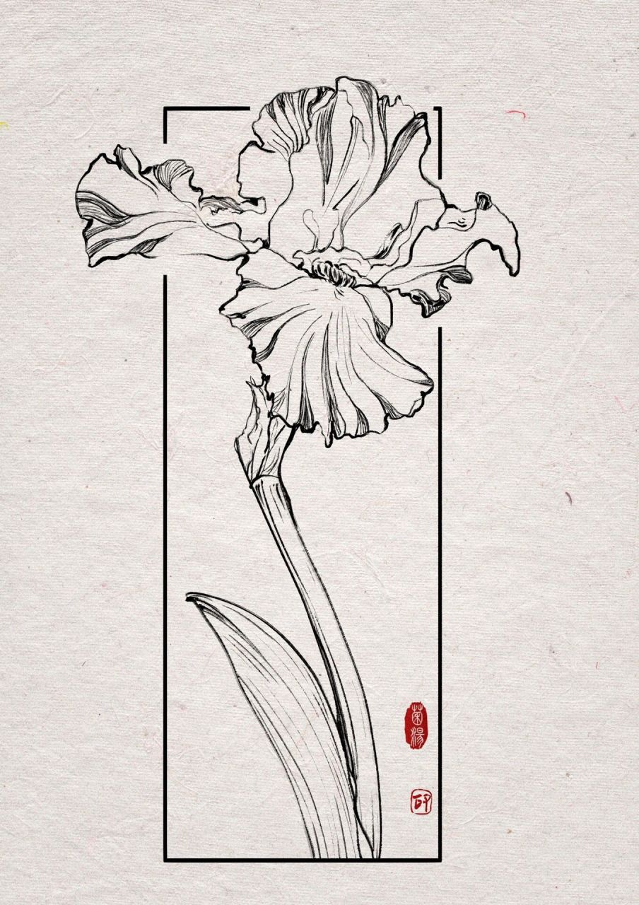 花卉速写|温柔是经历风吹雨打开出来的花7415   969696总结