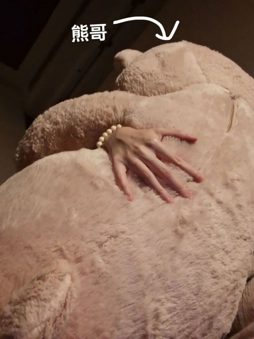 副驾驶放只熊会不会被交警拦? 我已经问好了,不会