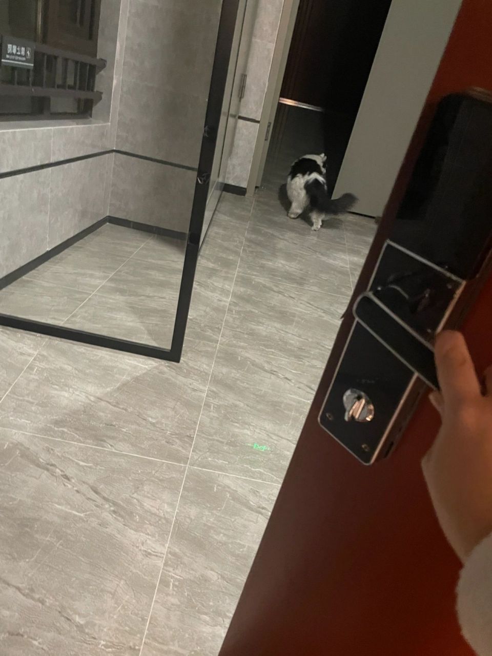 家里门又自己开了 好吓人 第二次了  	 破案了 我拍到了是猫开的