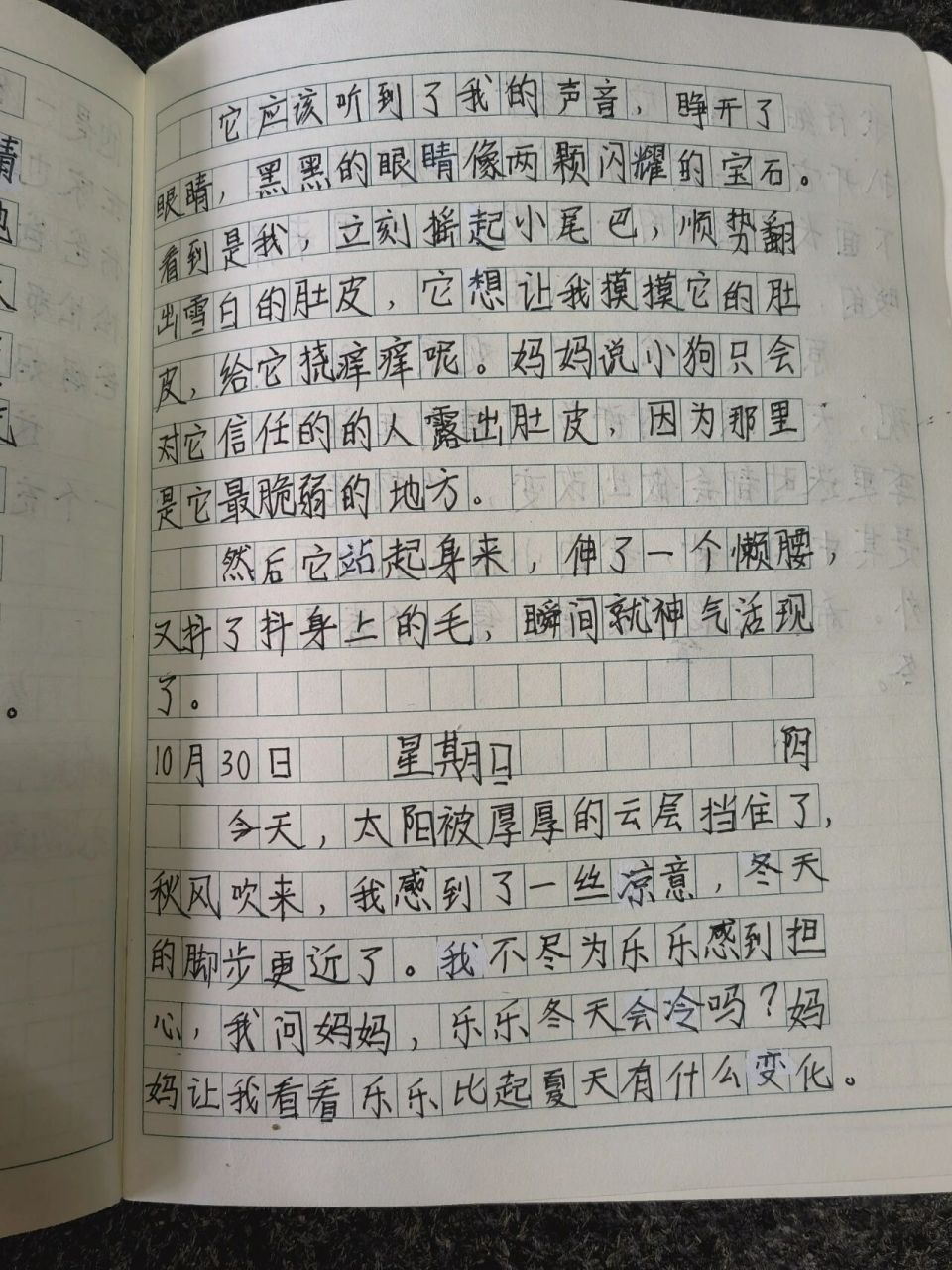 四年级第三单元作文《观察日记》 没写观察绿豆芽,总是发不成功,写的