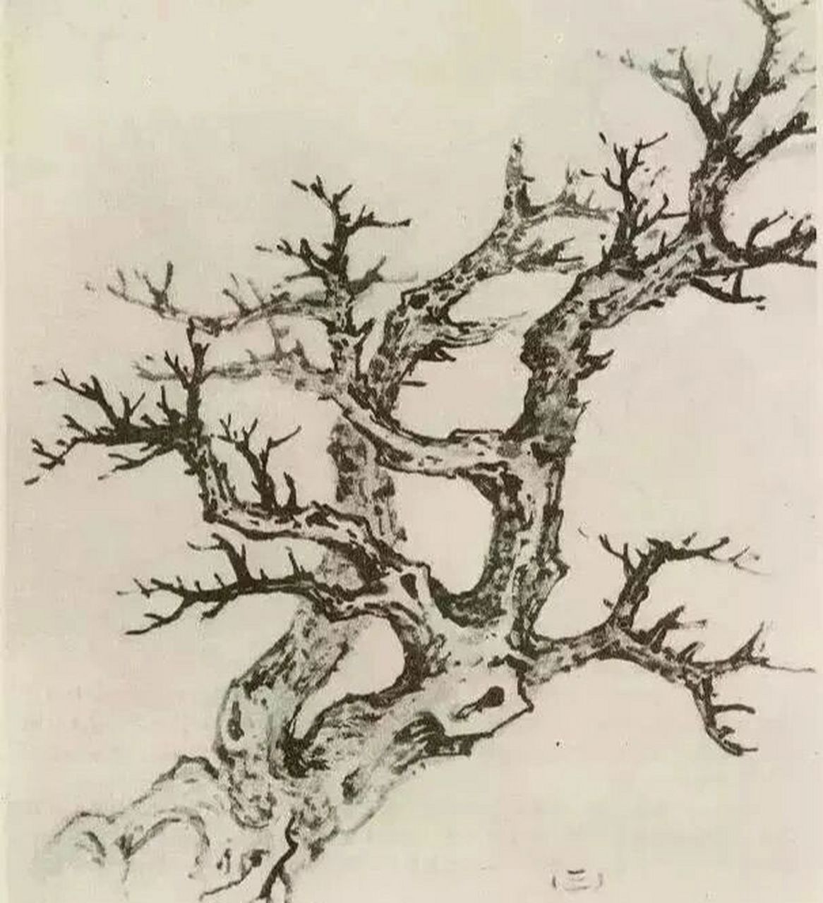 国画山水画里的树木画法大全(1) 山水画的树大都取材于乔木,灌木和