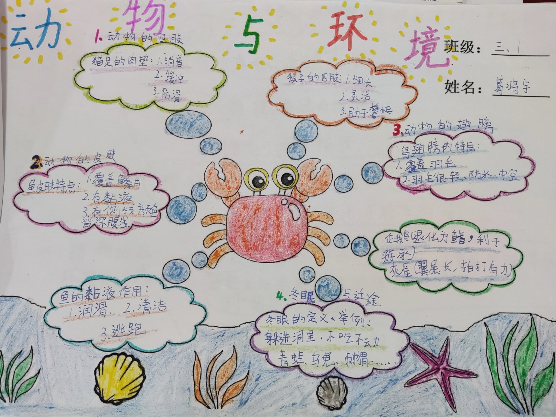 青岛版科学三上第一单元思维导图