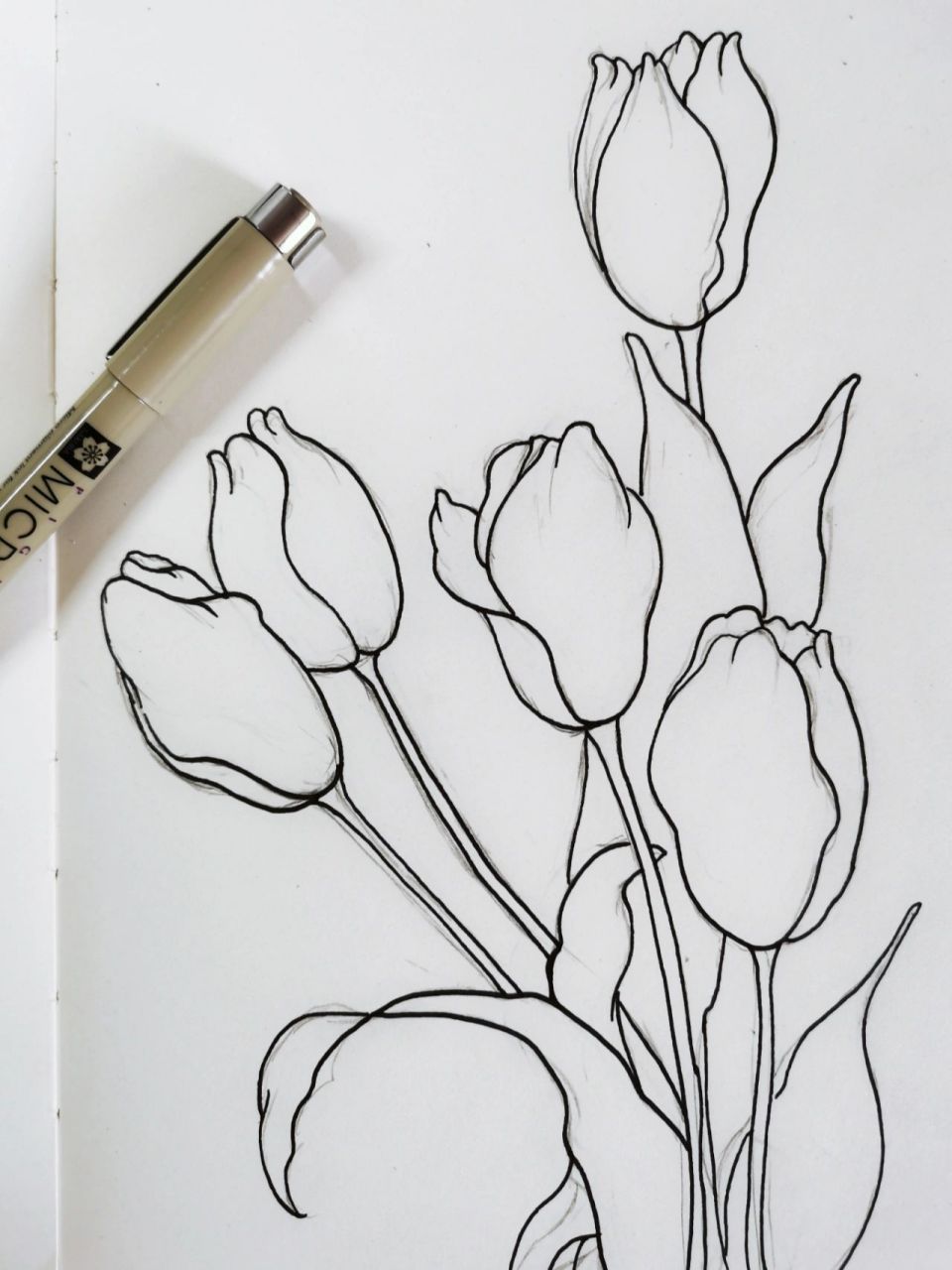 93黑白线描花卉丨郁金香丨附步骤 1.