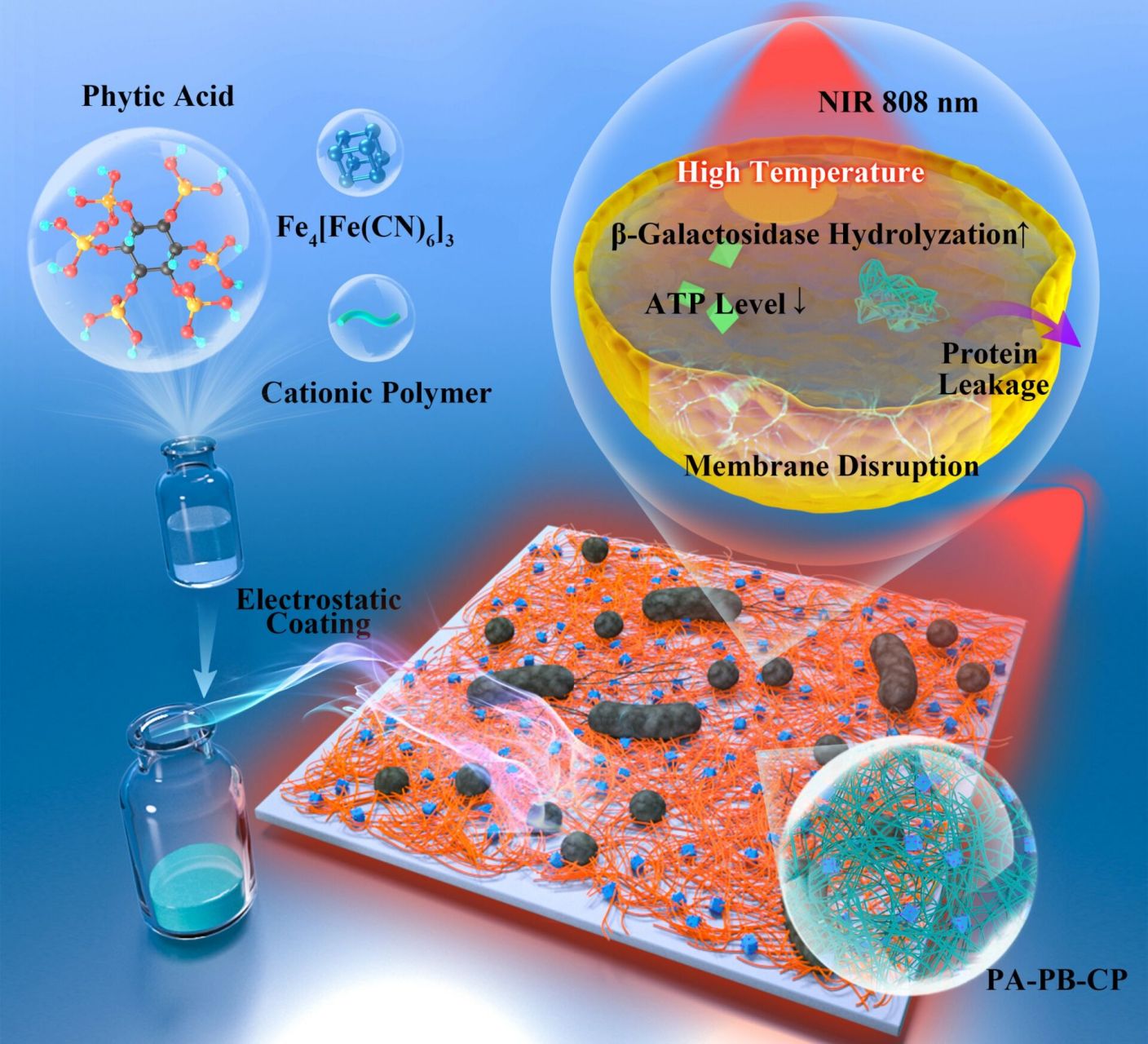 【科研绘图】导师会爱上这种toc图 为西南大学kang