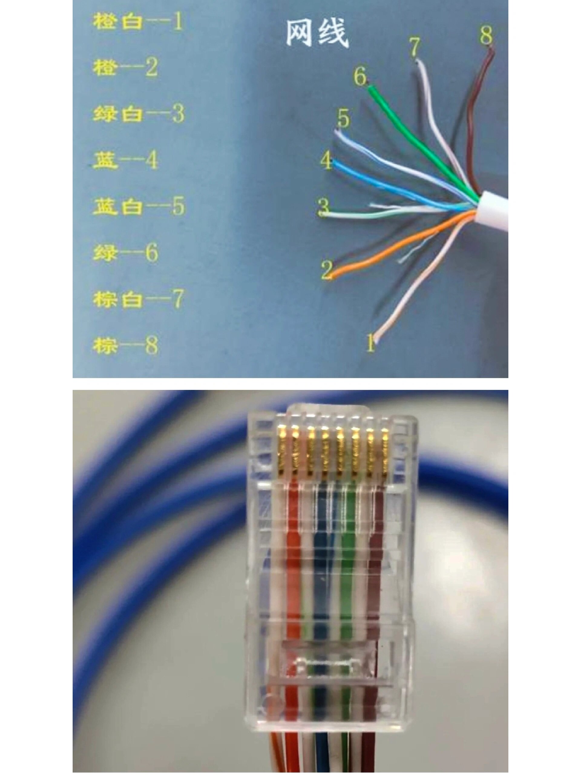 水晶头接 顺序图片