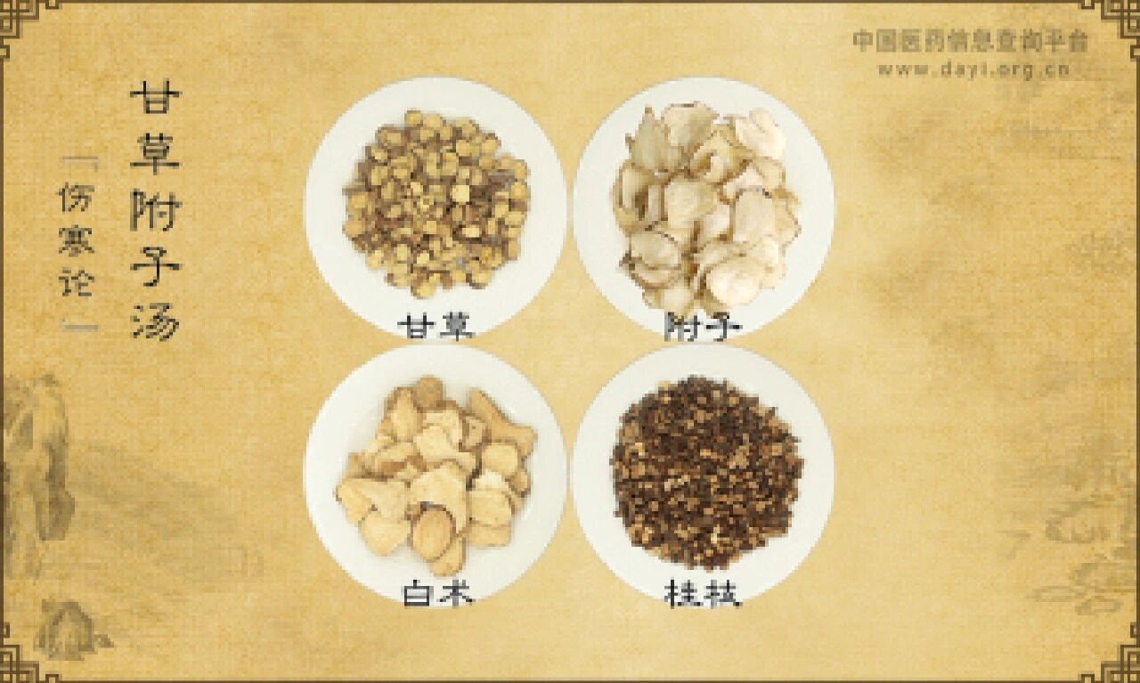 大黄附子干姜人参甘草图片