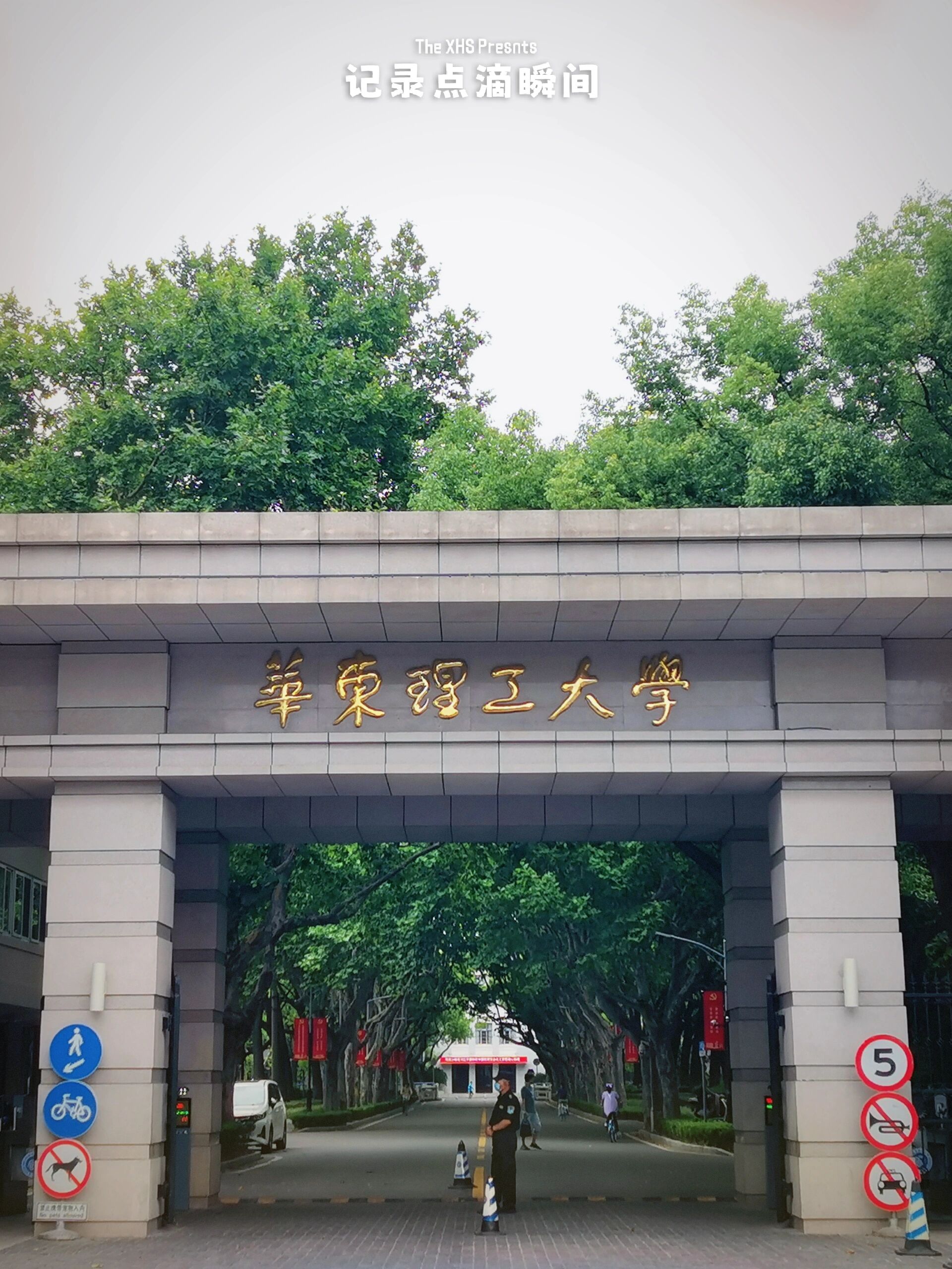 华东理工大学校区图片