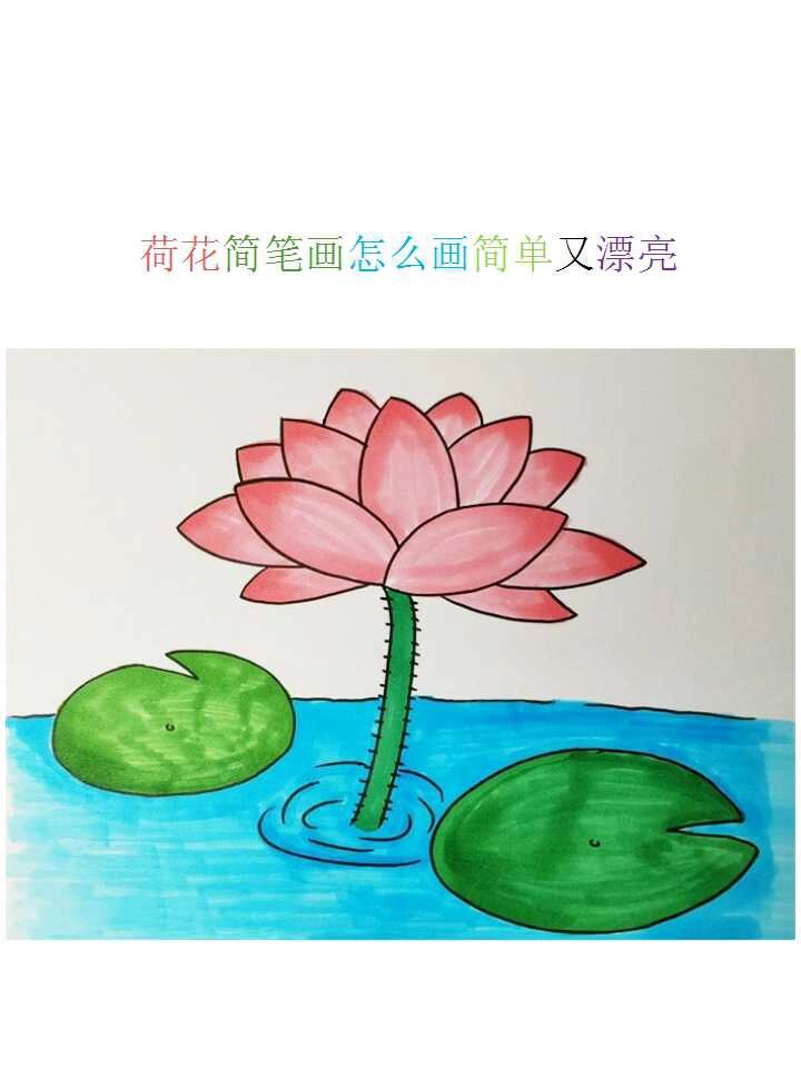 小河荷花简笔画图片