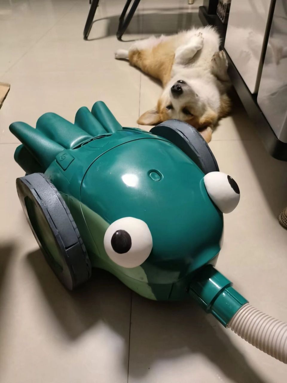 【全职猎人】小滴村崎 凸眼鱼 cos道具展示    是真的吸尘器哦