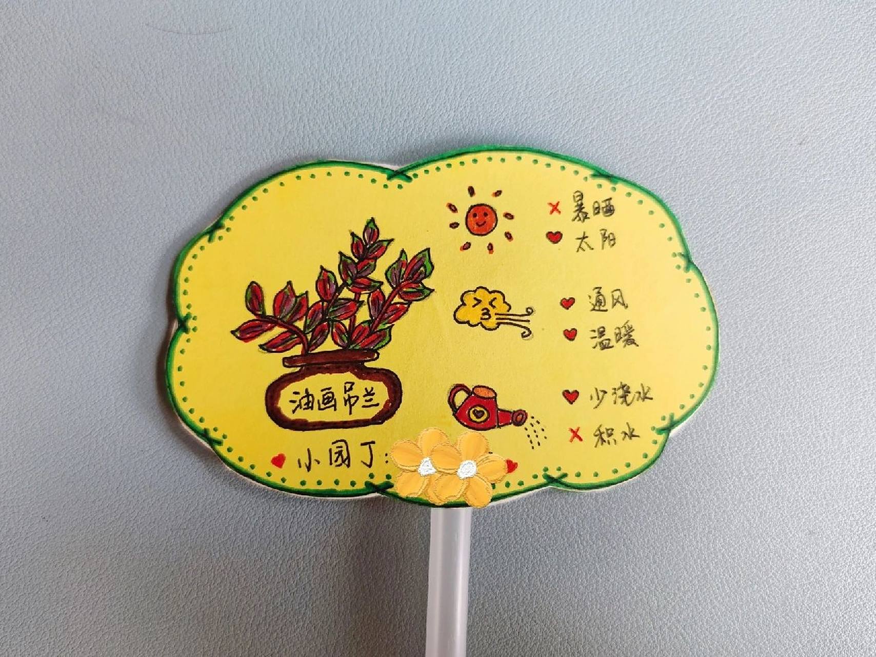 小小植物卡片～ 孩子幼儿园要带小植物,刚开始买了个光棍树,后来查到