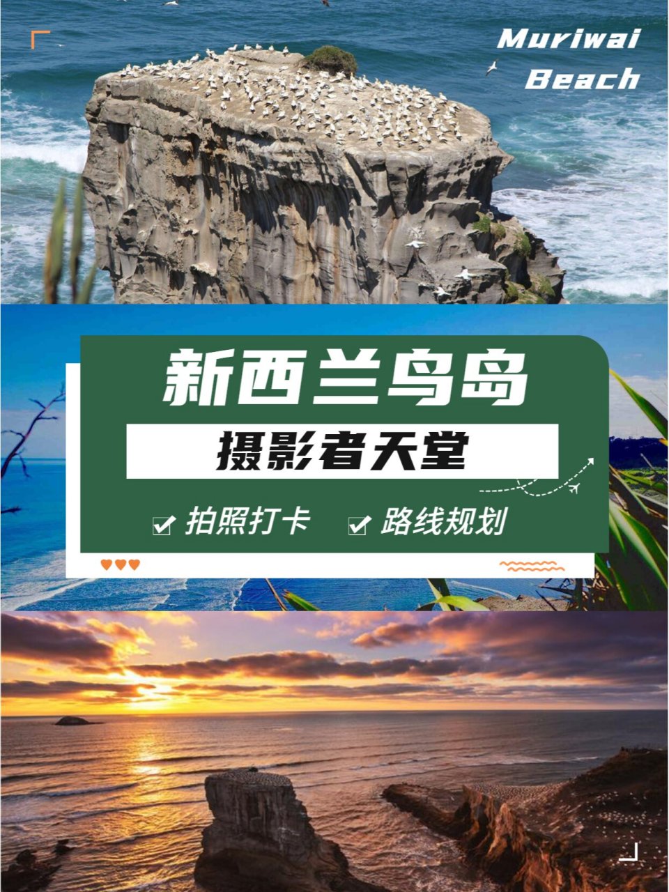 07新西兰鸟岛∣密集恐惧者都想去的地方!