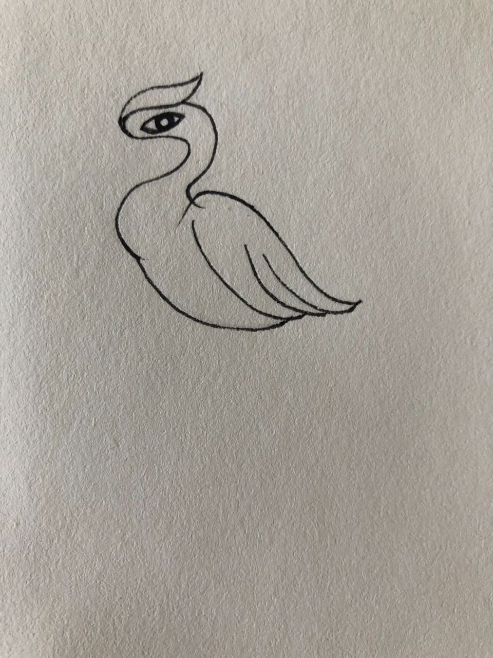 简笔画56/动物篇/仙鹤 上篇比较忘记发步骤啦