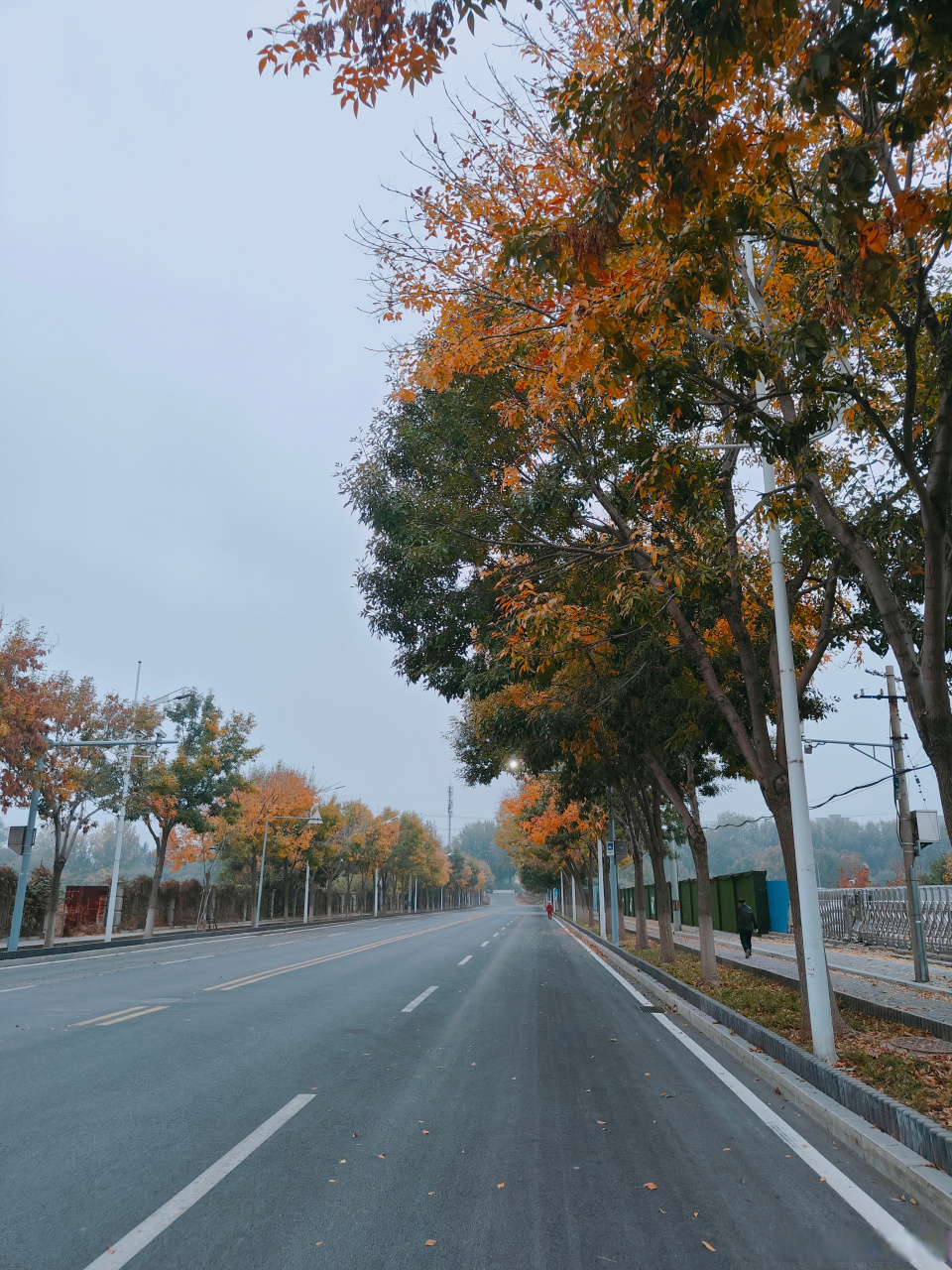 微博手机影像年##一张照片讲讲此刻的故事##风光#  日出霞欲燃, 径幽