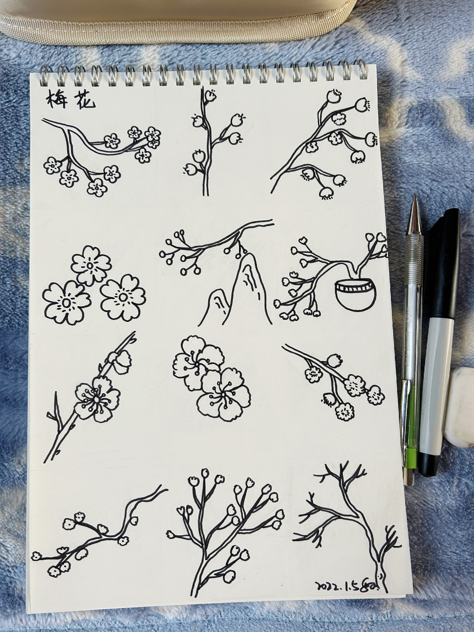 12种梅花的简笔画画法