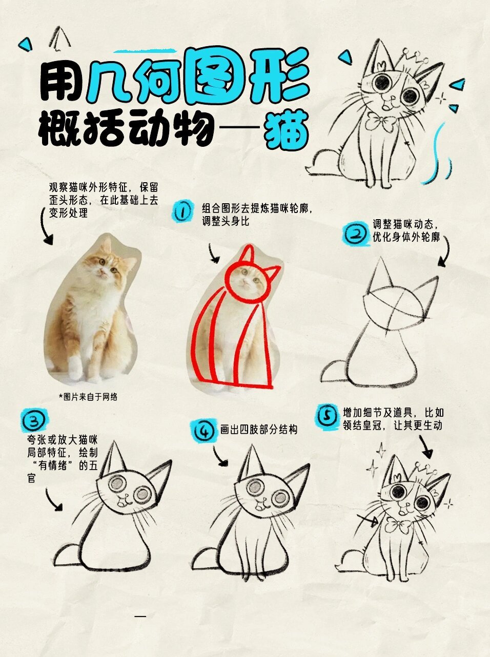 用几何图形概括动物—猫 观察猫咪外形特征,保留歪头形态,在此基础上
