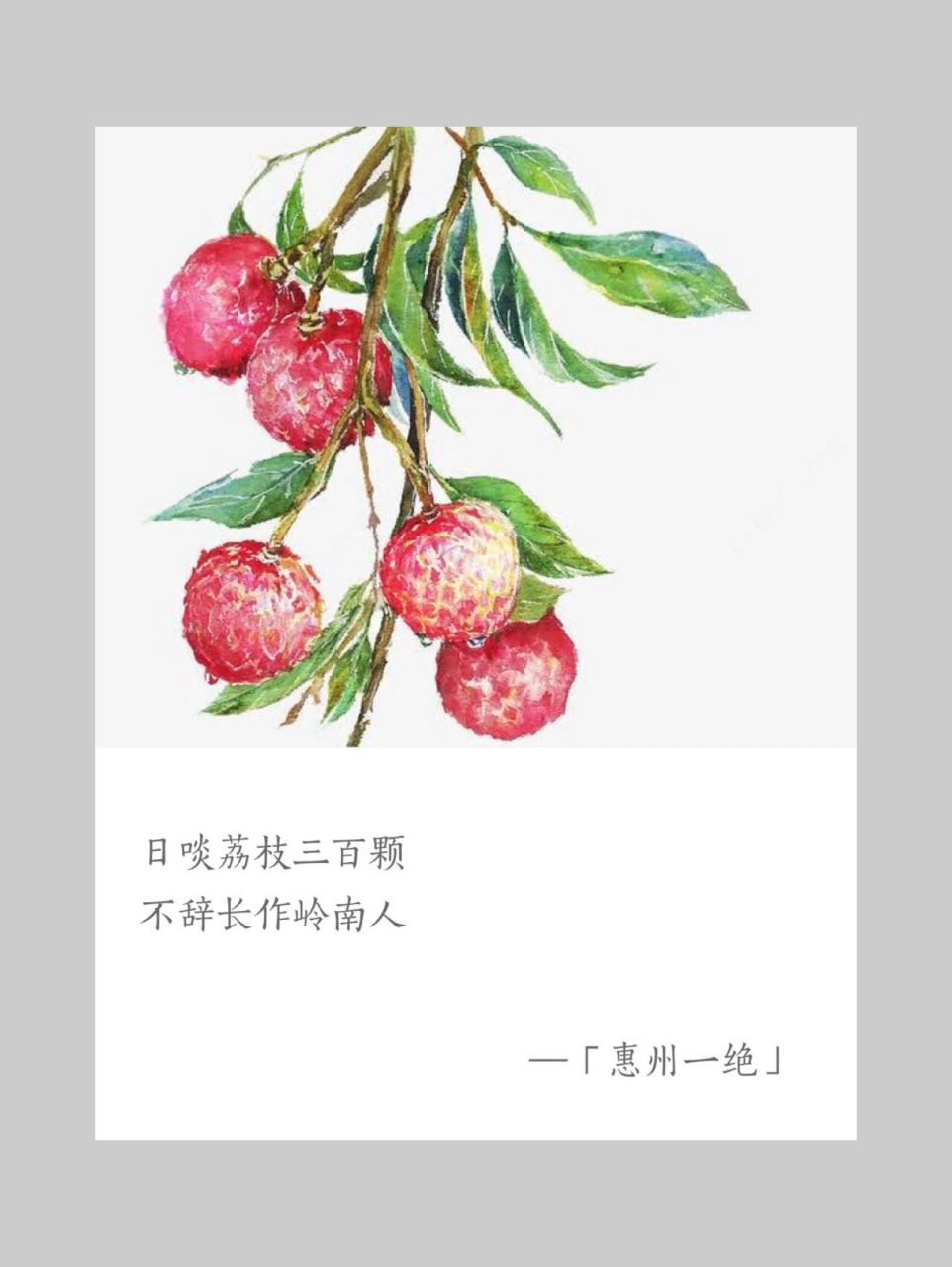 从"荔枝诗"看东坡先生的岭南心境.