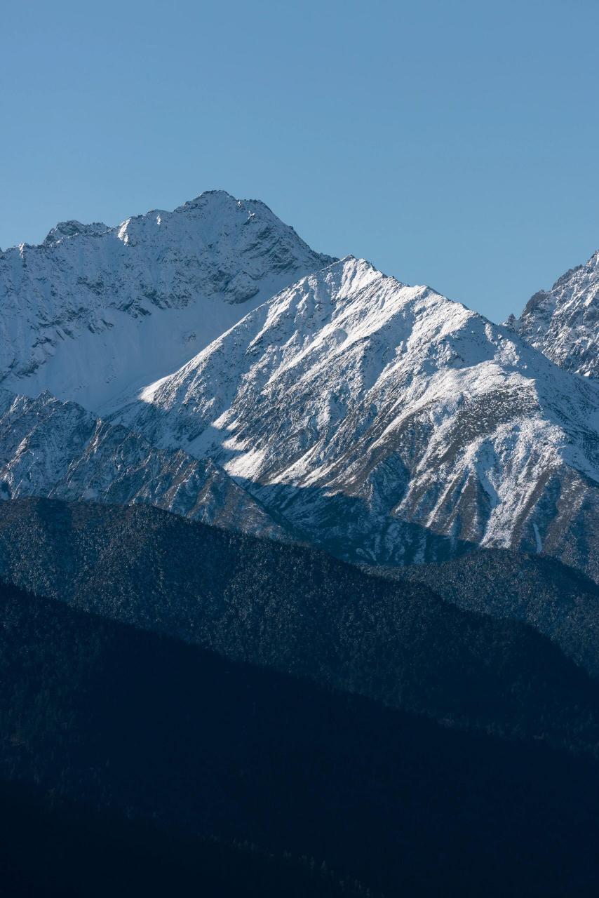 大雪山森林公园图片